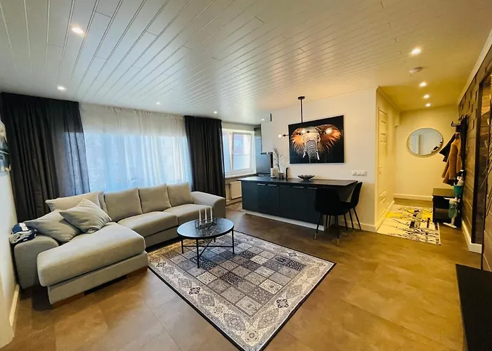 Paernu City Apartement Apartamento
